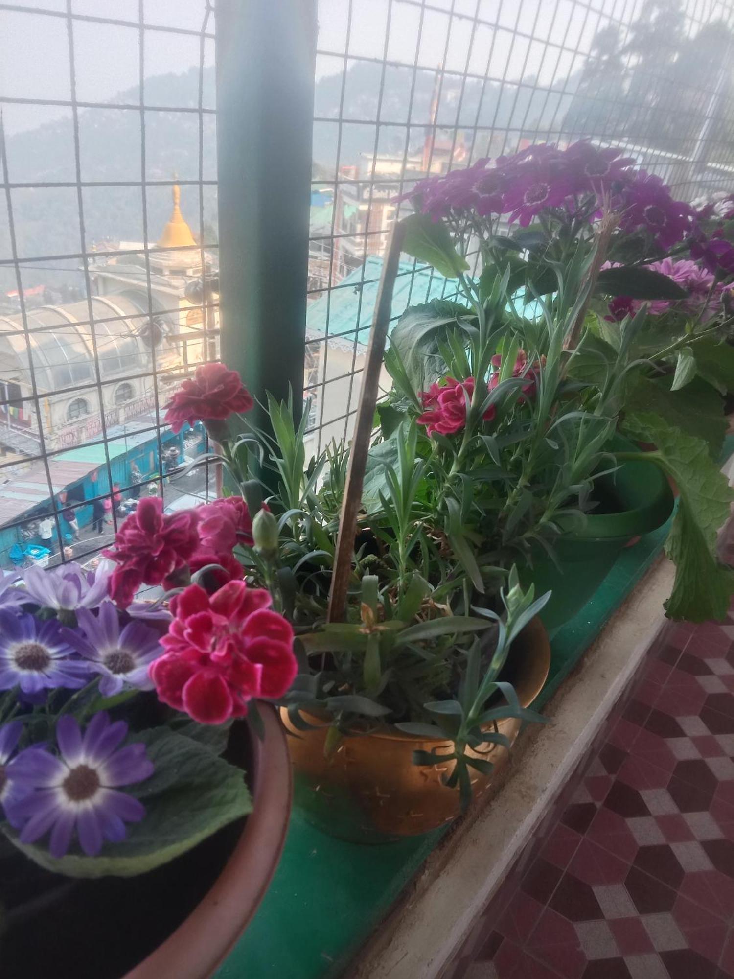 Beverly Hills Home Stay Darjeeling  Dış mekan fotoğraf