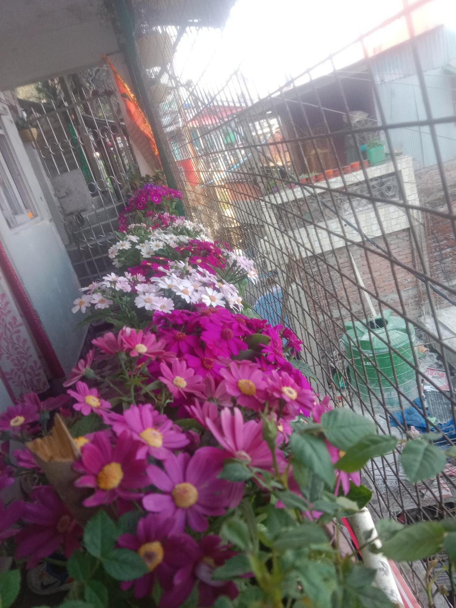 Beverly Hills Home Stay Darjeeling  Dış mekan fotoğraf