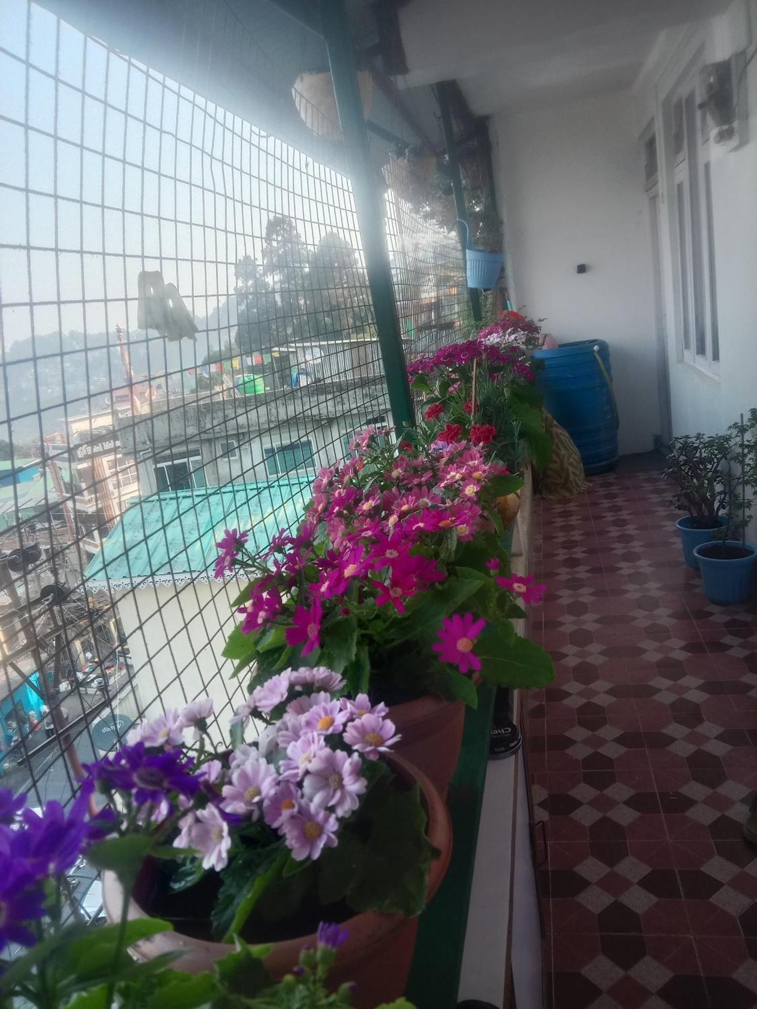 Beverly Hills Home Stay Darjeeling  Dış mekan fotoğraf